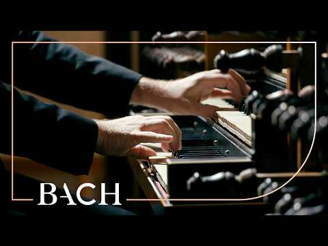 Bach – Der Tag, der ist so freudenreich BWV 605 – Bart Naessens | Netherlands Bach Society