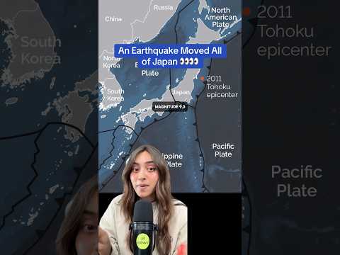 To trzęsienie ziemi dosłownie poruszyło całą Japonię