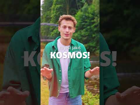 Ten region w Polsce to jest jakiś kosmos!