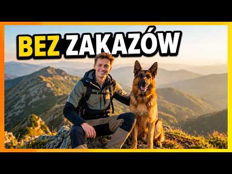 NAJLEPSZE MIEJSCA NA WEEKEND Z PSEM. Bez zakazów i mandatów!