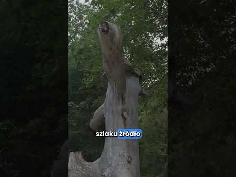 Za to KOCHAM Austrię! DARMOWA woda pitna przy szlaku 🇦🇹💧| kierunek:PODRÓŻE