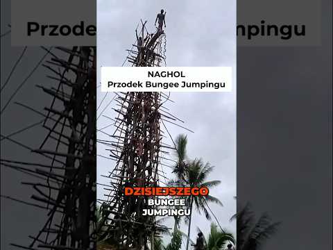 Najbardziej szalone BUNGEE na świecie. Tak skaczą na Vanuatu 🇻🇺