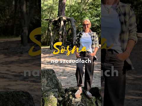 Dlaczego to drzewo rośnie nad ziemią? 🧐 #sosnanaszczudłach #polska #las